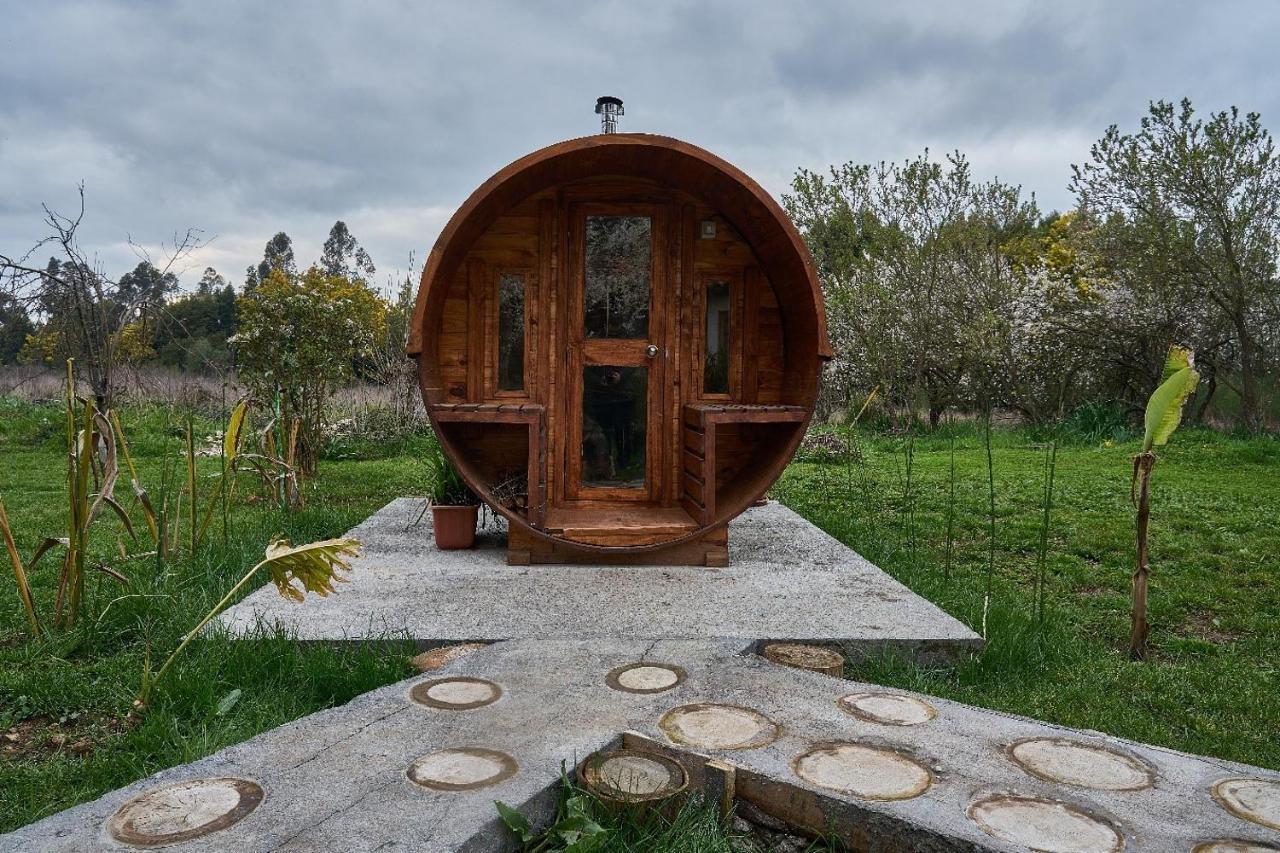 La Casa De Adobe Natural Y Mas Bulnes Екстериор снимка