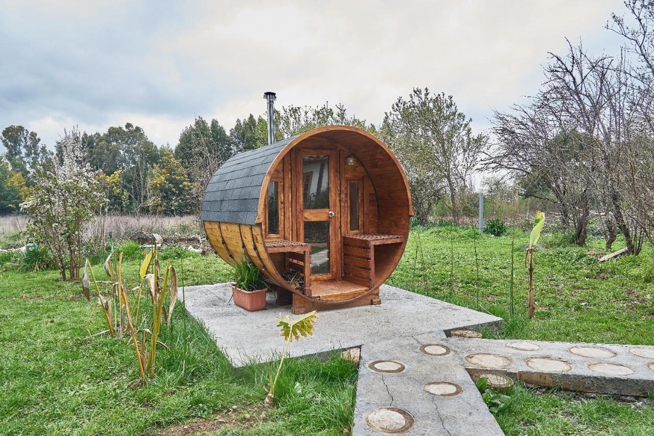 La Casa De Adobe Natural Y Mas Bulnes Екстериор снимка