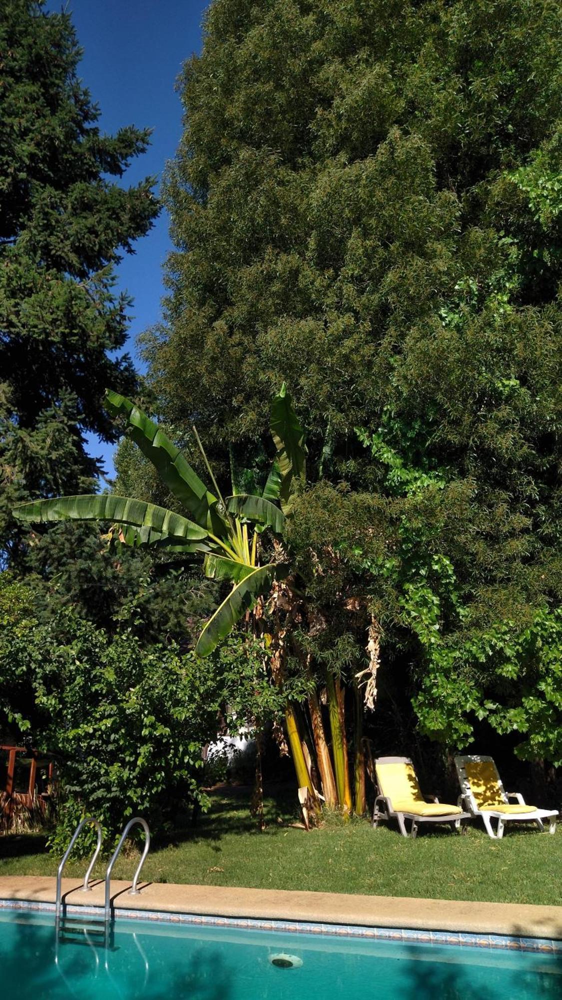 La Casa De Adobe Natural Y Mas Bulnes Екстериор снимка