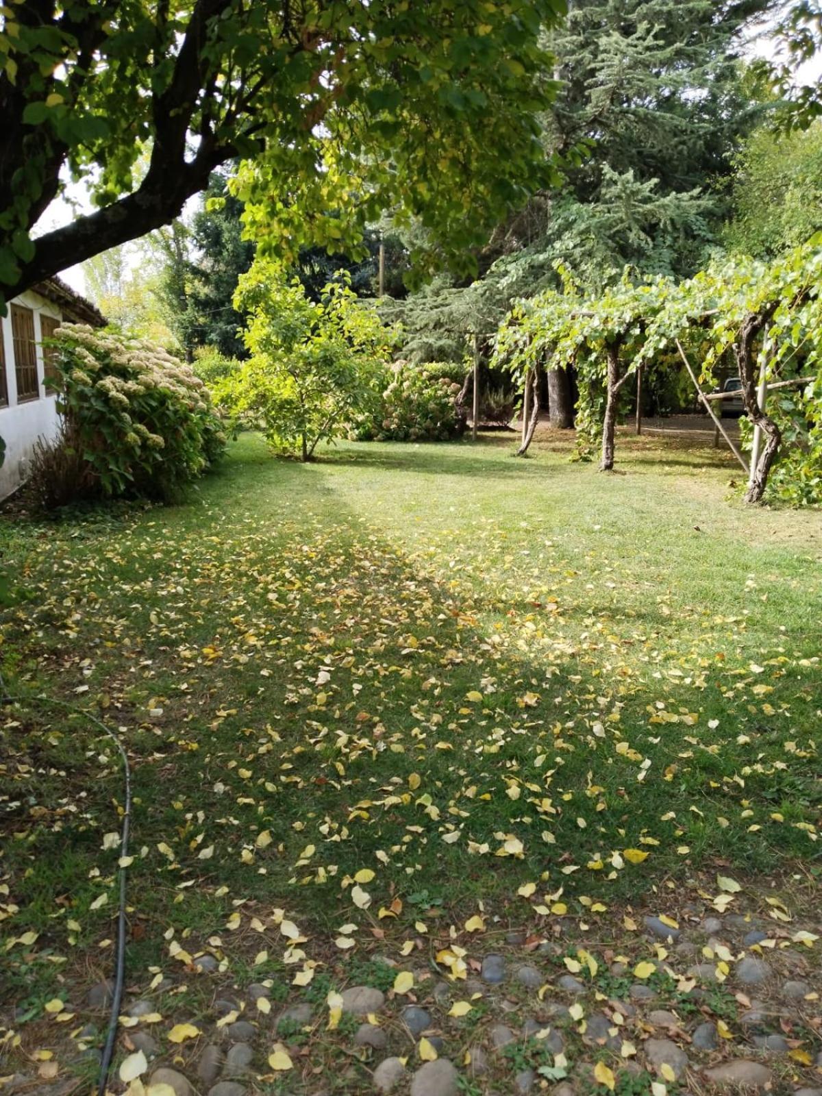 La Casa De Adobe Natural Y Mas Bulnes Екстериор снимка