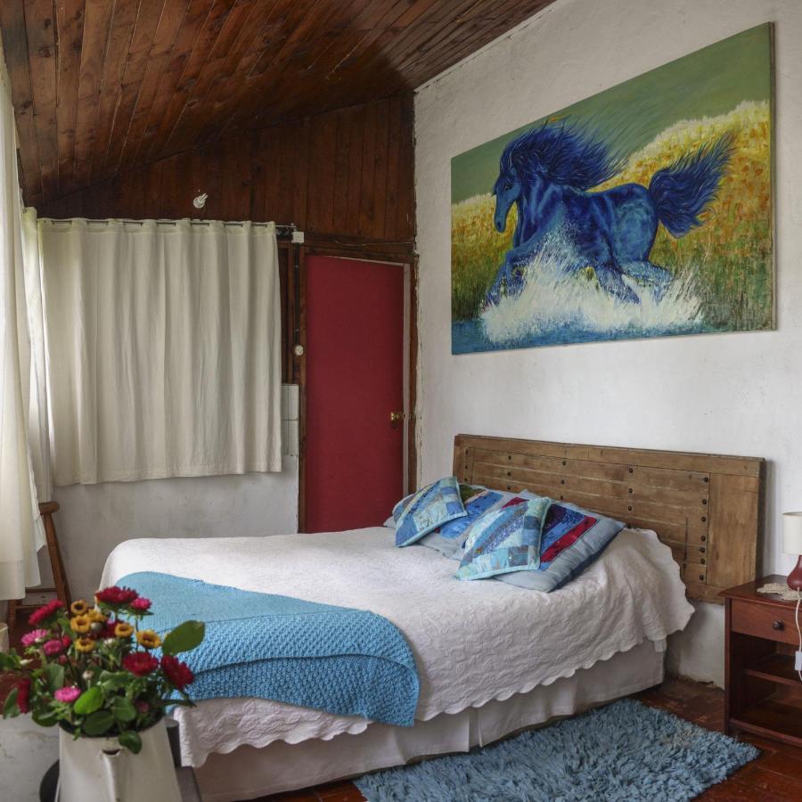 La Casa De Adobe Natural Y Mas Bulnes Екстериор снимка